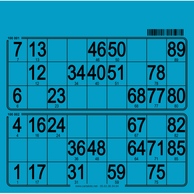 250 planches de loto de 2 grilles I Cartons loto rigide I 100% perso
