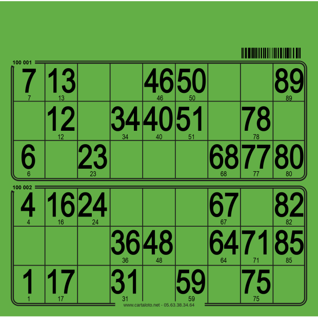 Hard bingo cards I 250 per pack I Bingo tickets I 90 ball bingo