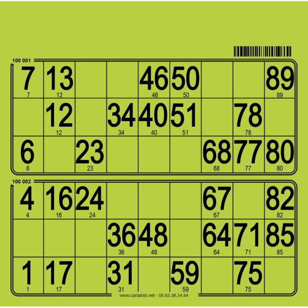 Hard bingo cards I 250 per pack I Bingo tickets I 90 ball bingo