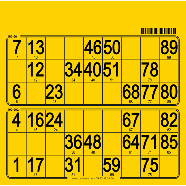 250 planches de loto de 2 grilles I Cartons loto rigide I 100% perso