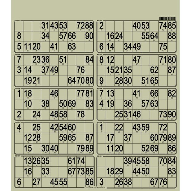 50 Planches de loto rigide 10 grilles I Plastifiées & 100% perso