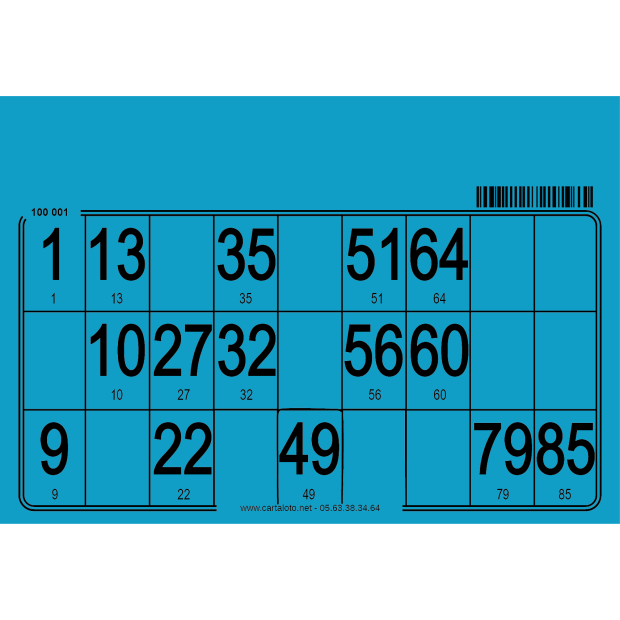 500 Cartons loto individuels très épais I Planches loto personnalisées