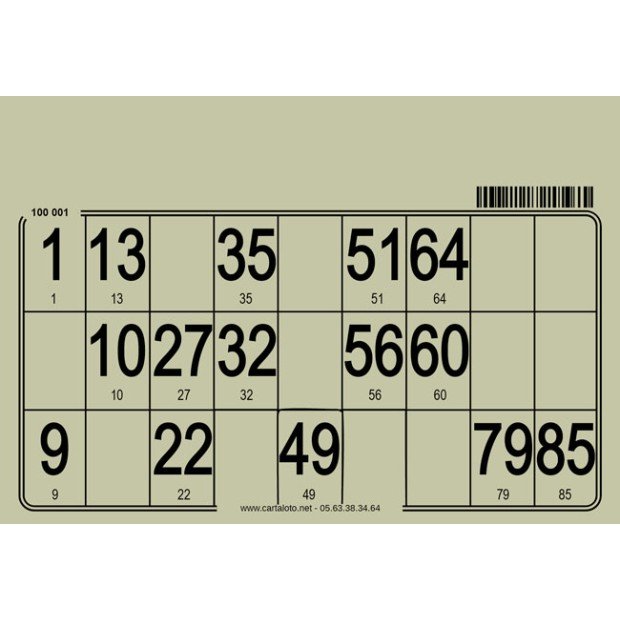 500 Cartons loto individuels très épais I Planches loto personnalisées