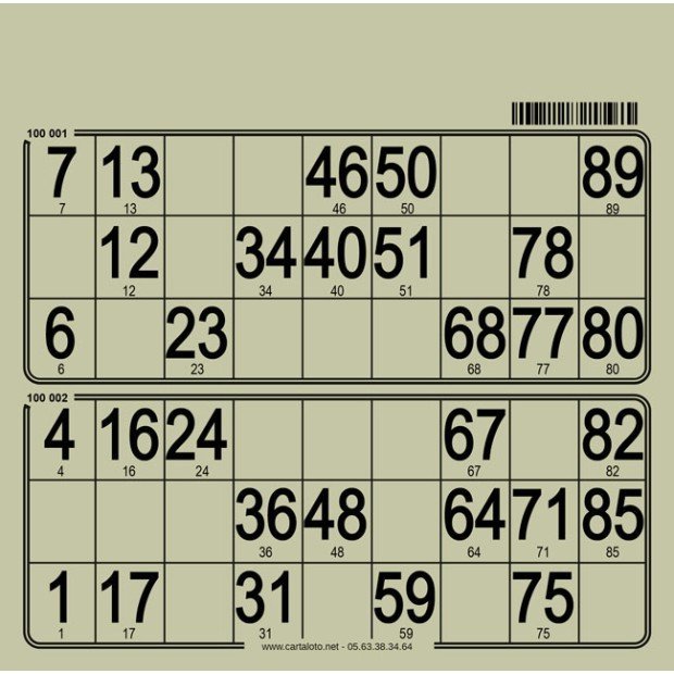 250 planches de loto 2 grilles en carton très rigide I Cartaloto