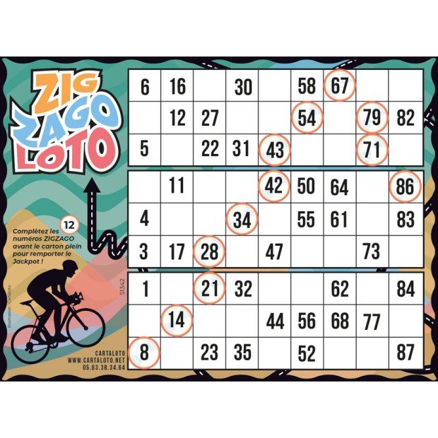 Bingo special game I Bingo paper card to play bingo I Game bingo