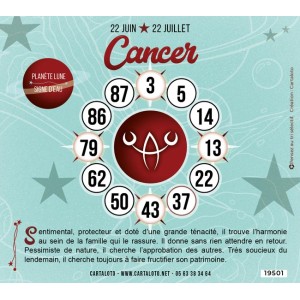 Paper bingo cards I Bingo supplies I 90 ball bingo