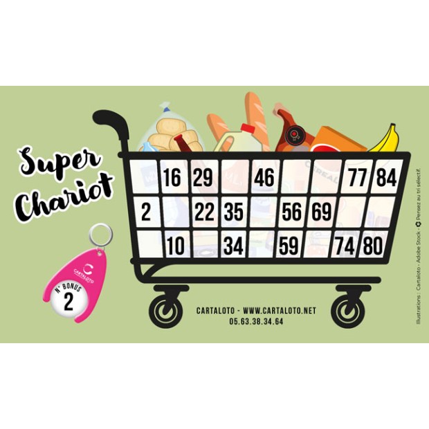 Super Cart I Themed bingo ticket I Charity game tickets