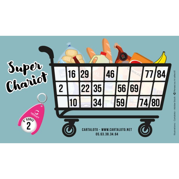Super Cart I Themed bingo ticket I Charity game tickets