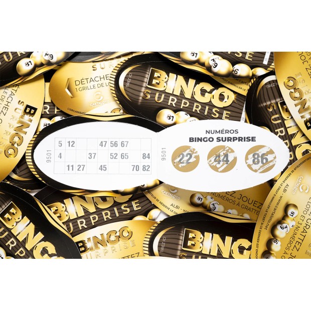 Bingo surprise Gold - montage