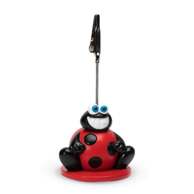 Pack of 12 Ladybug Loto Clips - Lucky Charm | Cartaloto
