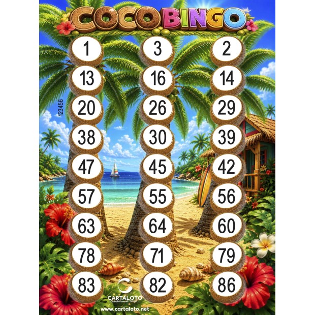 Jeu de Loto - Coco Bingo