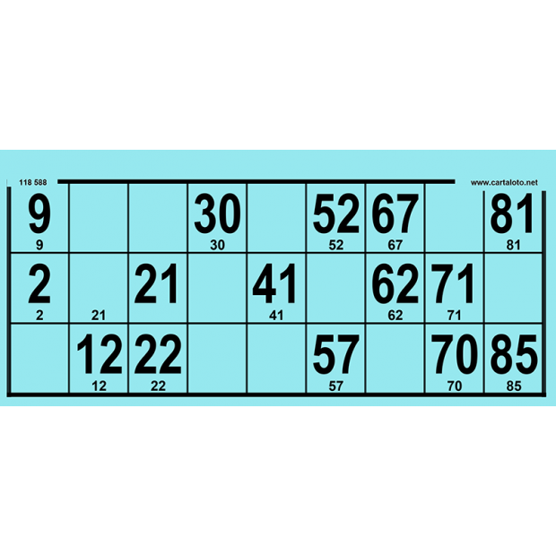 Large print bingo cards for seniors I Bingo games cards I 90 ball bingo