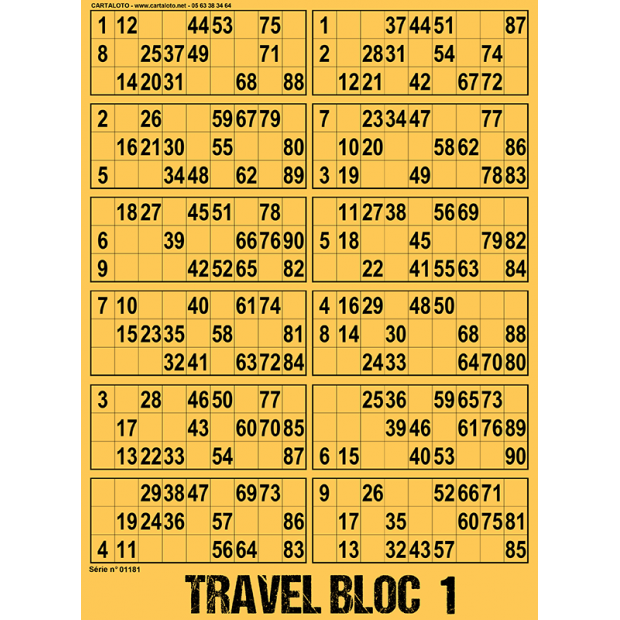 Travel Bloc I Travel games I 90 number bingo I Outside bingo game