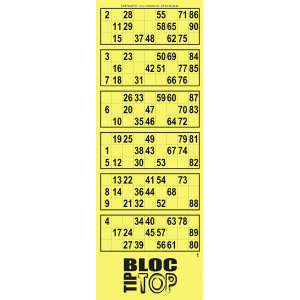Bloc Tiptop I Carnet bingo I 125 bingo tickets I 6 grilles bingo