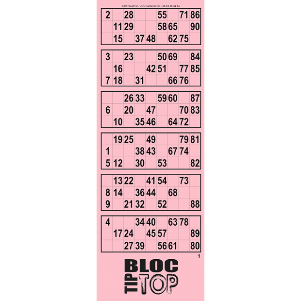 Bloc Tiptop I Carnet bingo I 125 bingo tickets I 6 grilles bingo