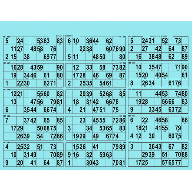 34 planches de loto 15 grilles en carton très rigide I Carton loto