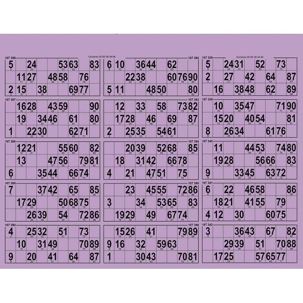 34 planches de loto 15 grilles en carton très rigide I Carton loto