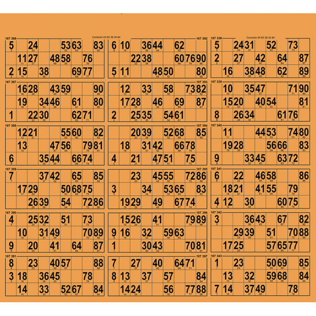 28 planches de loto 18 grilles I Cartons loto très rigides