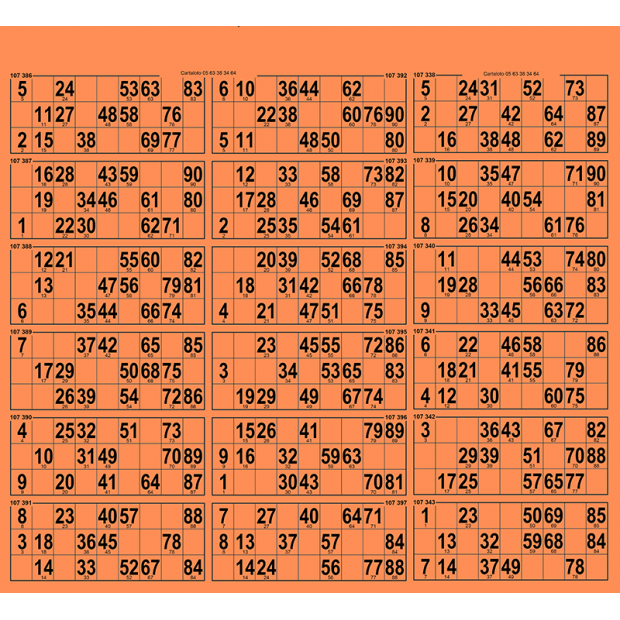 28 planches de loto 18 grilles I Cartons loto très rigides