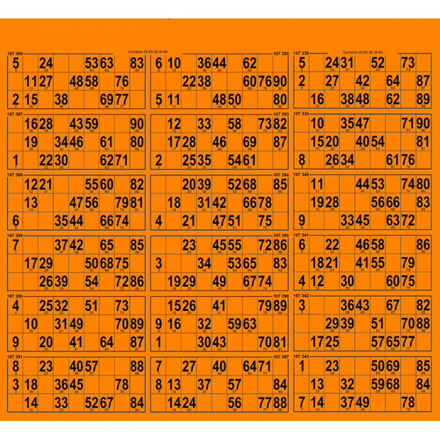 28 planches de loto 18 grilles I Cartons loto très rigides