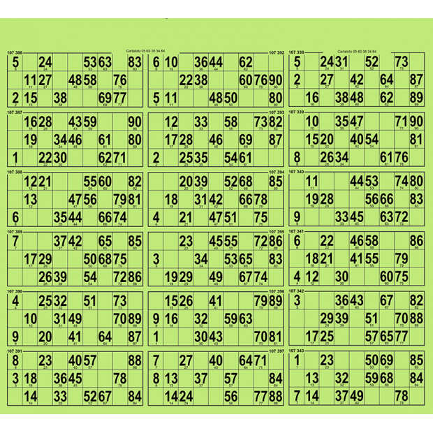 28 planches de loto 18 grilles I Cartons loto très rigides