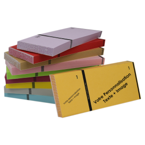 10 Booklets of 100 numered check tickts I 2 clip parts (customisable)