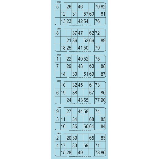 Piccolo bingo tickets I 100 bingo sheets of 6 pre-cut grids