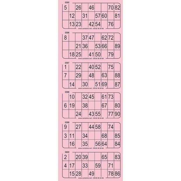 Piccolo bingo tickets I 100 bingo sheets of 6 pre-cut grids
