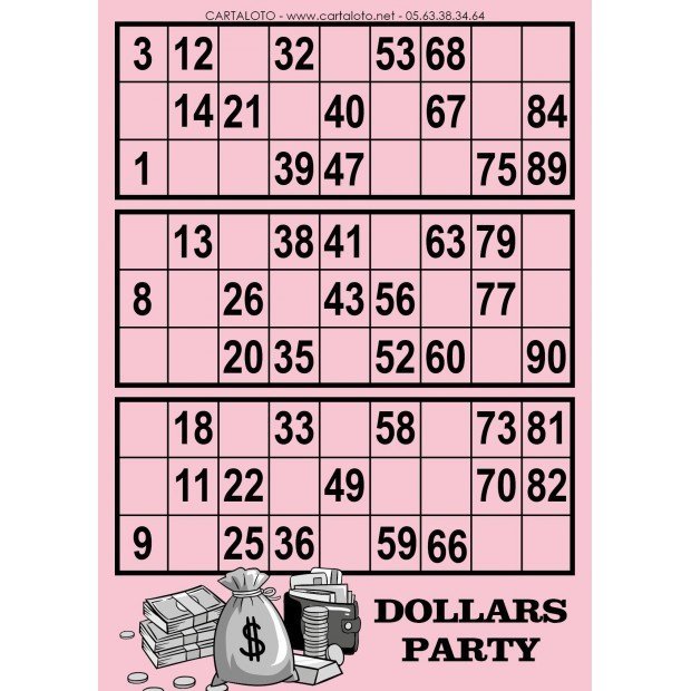 Dollar Party 3 grids bingo cards I Bingo disposable cards