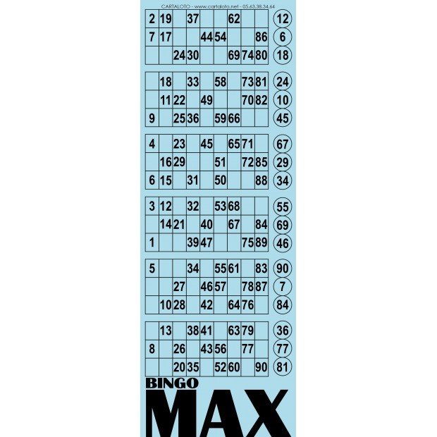 Bingo Max I  6 grids paper bingo cards I Bingo tickets