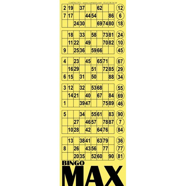 Bingo max I Partie de loto spéciale I Maxi bingo jeu I Feuille loto