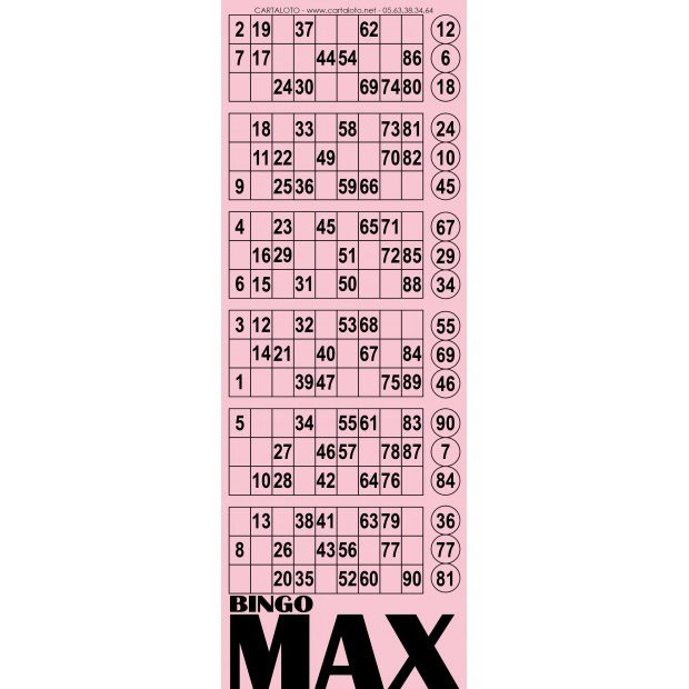 Bingo Max I  6 grids paper bingo cards I Bingo tickets