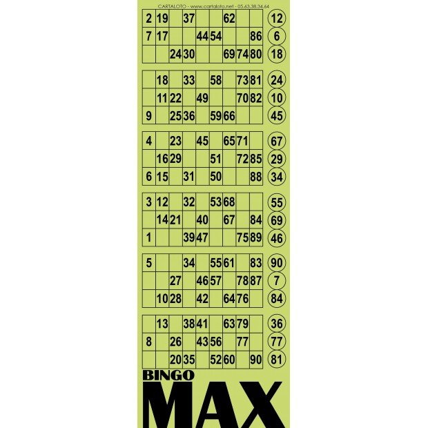 Bingo max I Partie de loto spéciale I Maxi bingo jeu I Feuille loto