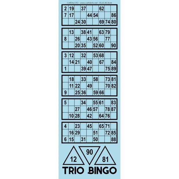 Tribingo I Partie loto spéciale I Feuille loto avec numéro de chance