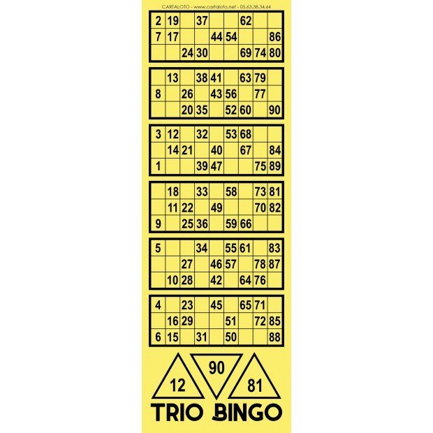 Tribingo I Partie loto spéciale I Feuille loto avec numéro de chance