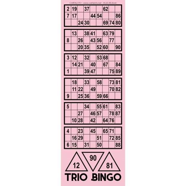 Tribingo I Partie loto spéciale I Feuille loto avec numéro de chance