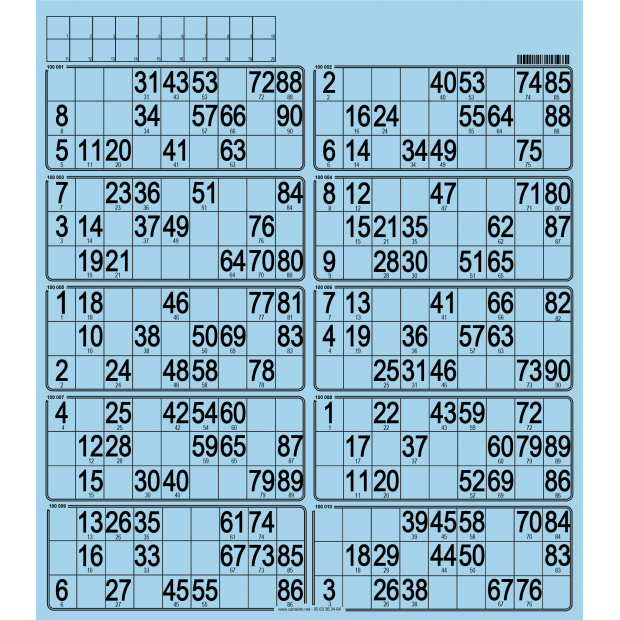 50 bristol bingo cards I Flexible card 90 ball bingo boards 10 grids