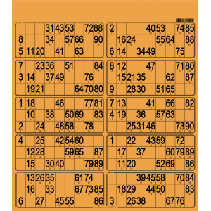 50 planches de loto 10 grilles en carton très rigide I 100% perso