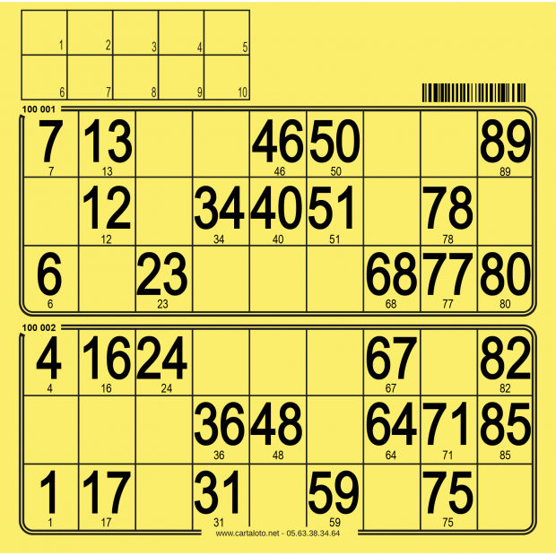 250 Paper 90 ball bingo tickets I  2 grids bingo paper to stamp